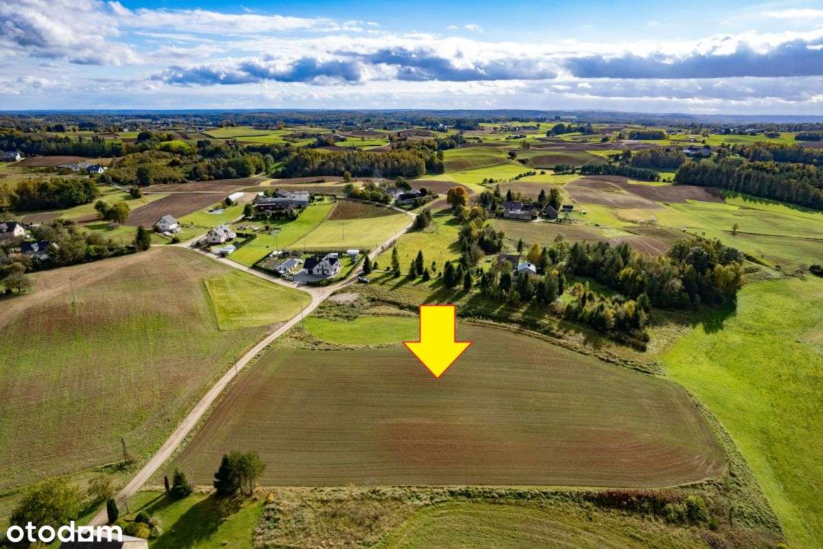 Wyjątkowy teren inwestycyjny na Kaszubach / WZ - Pełny obrazek: 4/5