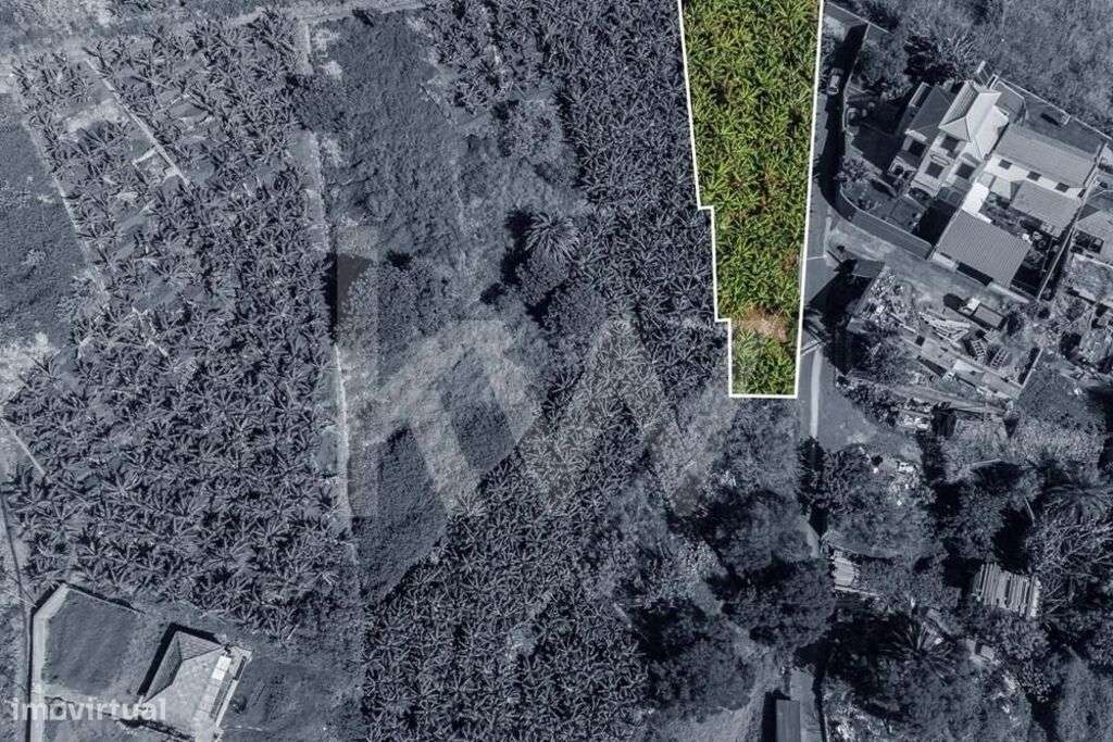 Terreno Urbanizável - 800m2 - São Martinho | Funchal - Grande imagem: 4/21