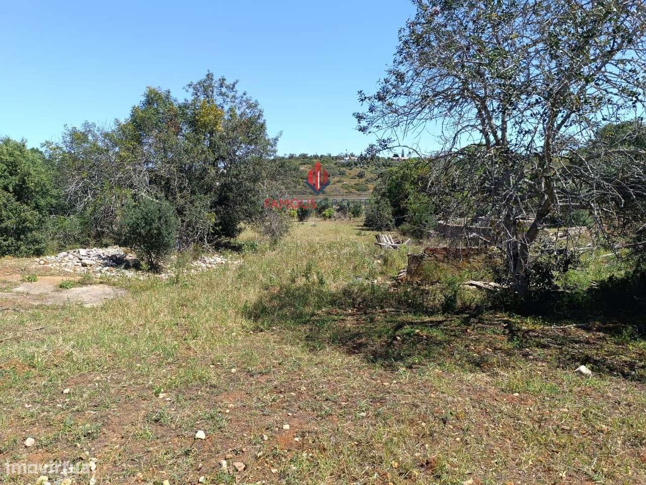 Quinta com 9 Hectares , junto ao rio Arade excelente investimento-7