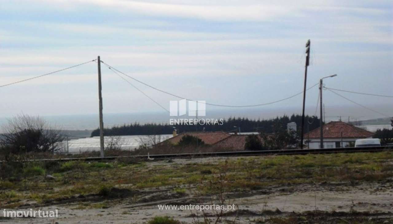 Terreno - Carreço - Grande imagem: 3/30