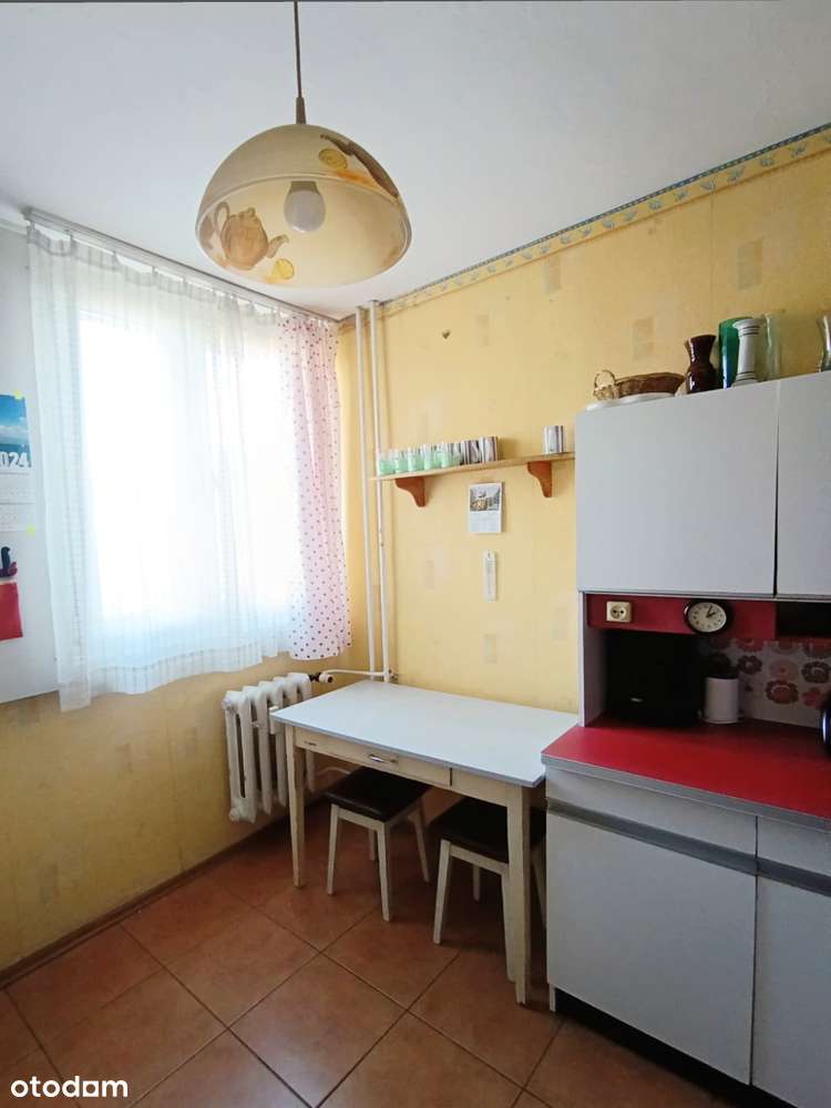 3 pokoje z balkonem | zielona okolica | Kłodzko - Pełny obrazek: 4/8