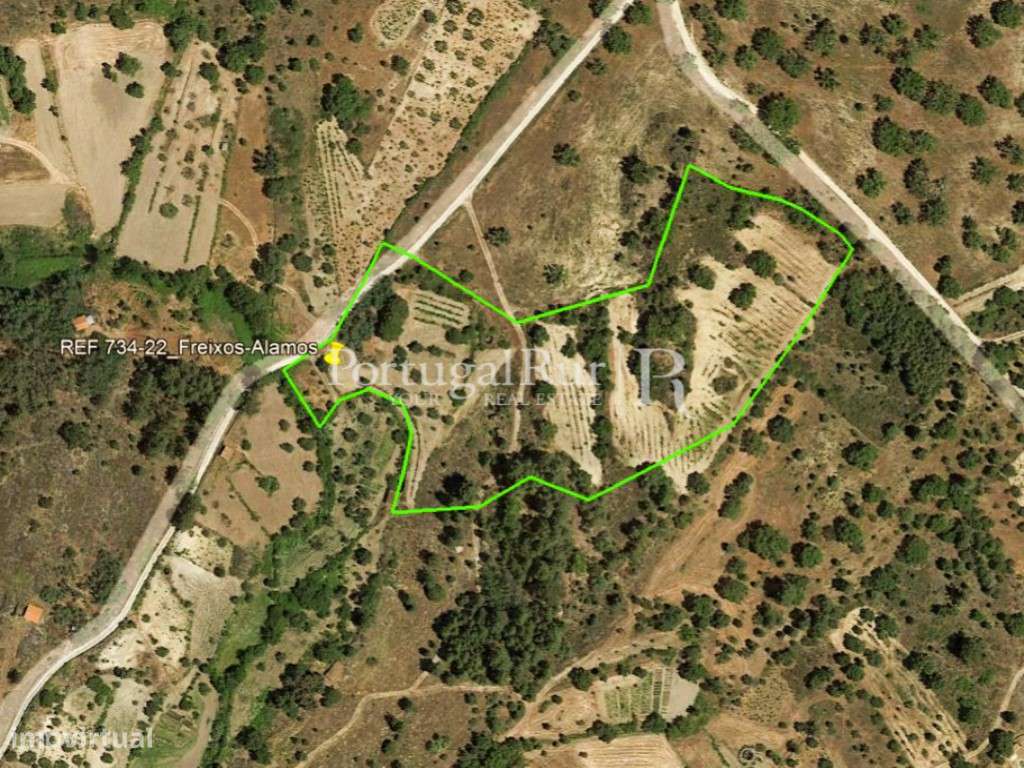 Terreno rústico com 17.740 m² em Monsanto - Grande imagem: 4/17