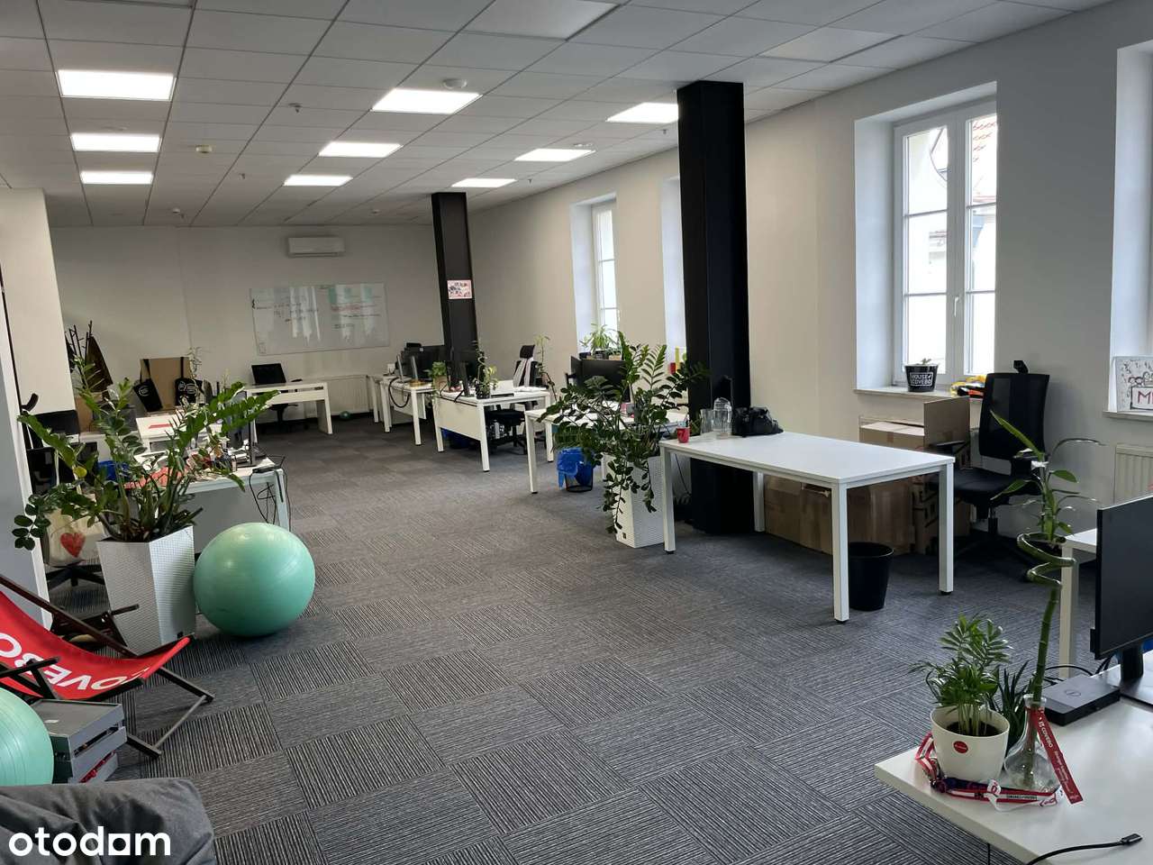 Biuro 91 m² Opole Rynek wysoki standard - Pełny obrazek: 2/5