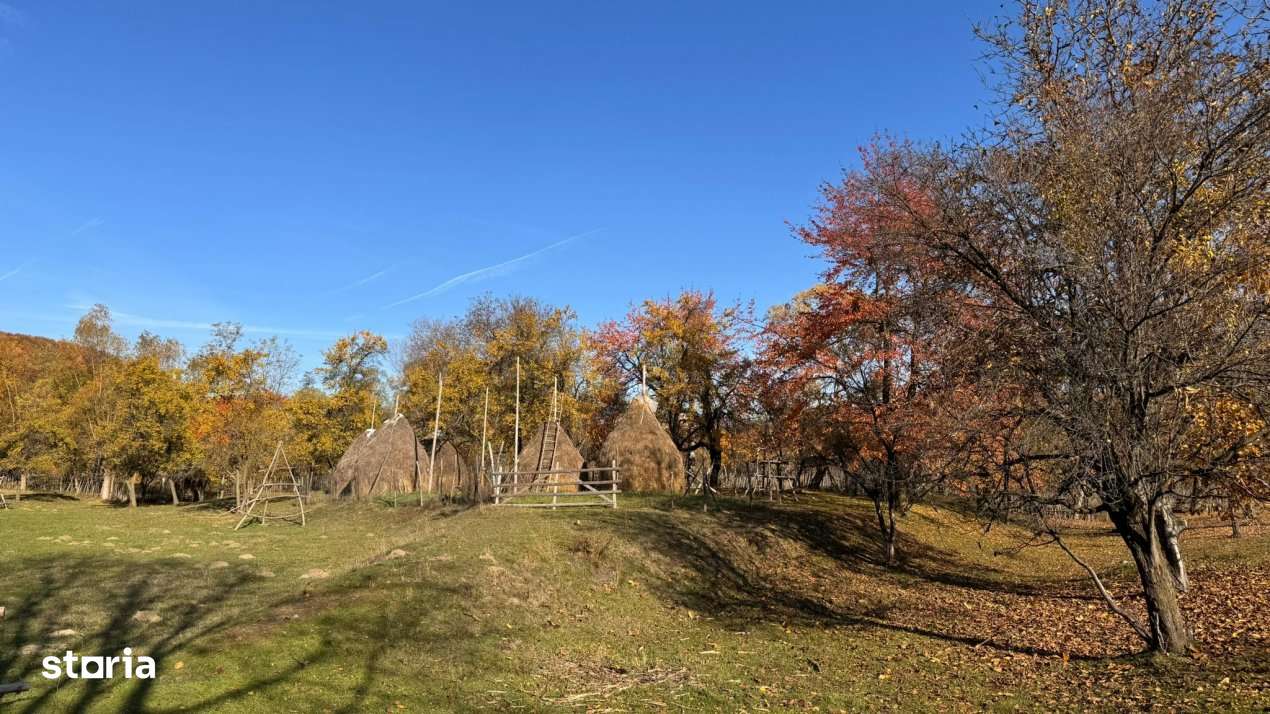 Teren Salatrucu - 7500 mp - Imagine principală: 4/8