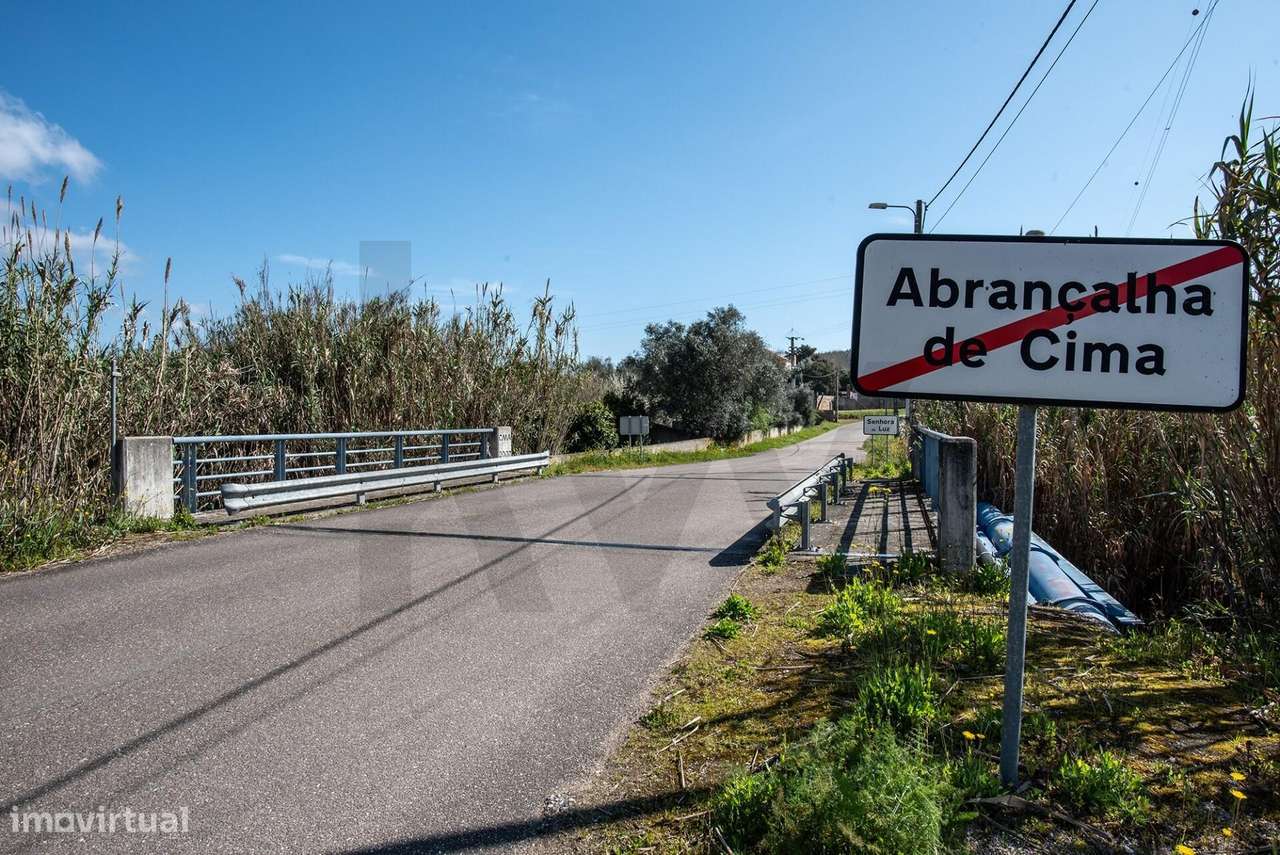 Terreno Rústico 7.000m2, Abrançalha de Cima, Senhora da Luz, Abrantes - Grande imagem: 5/15