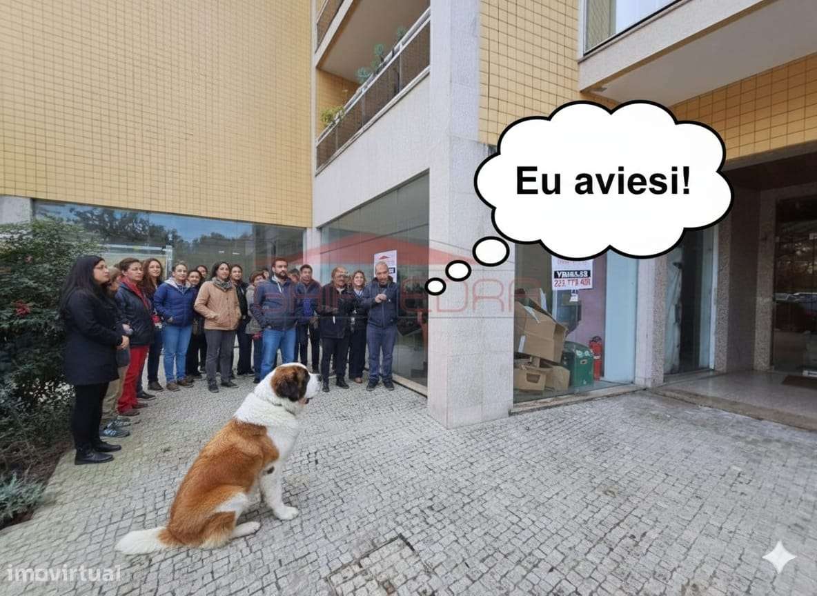 Loja centro Santa Maria da Feira ideal investimento comércio - Grande imagem: 2/10