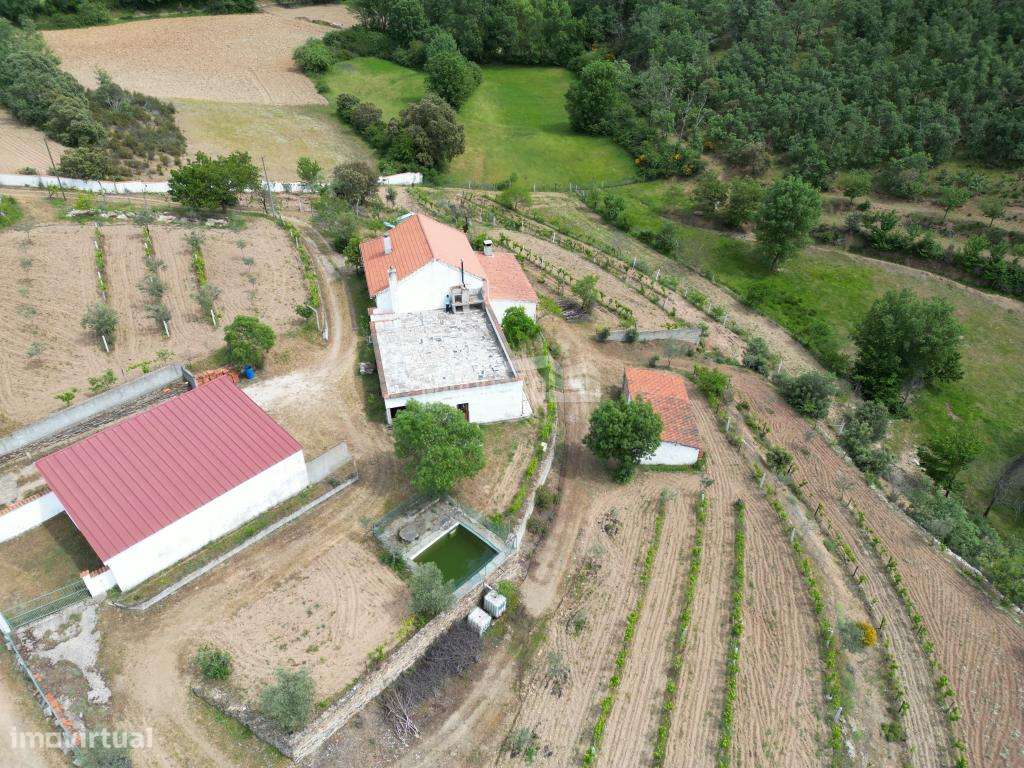 QUINTA AVELEDA (BRAGANÇA) - Grande imagem: 5/19