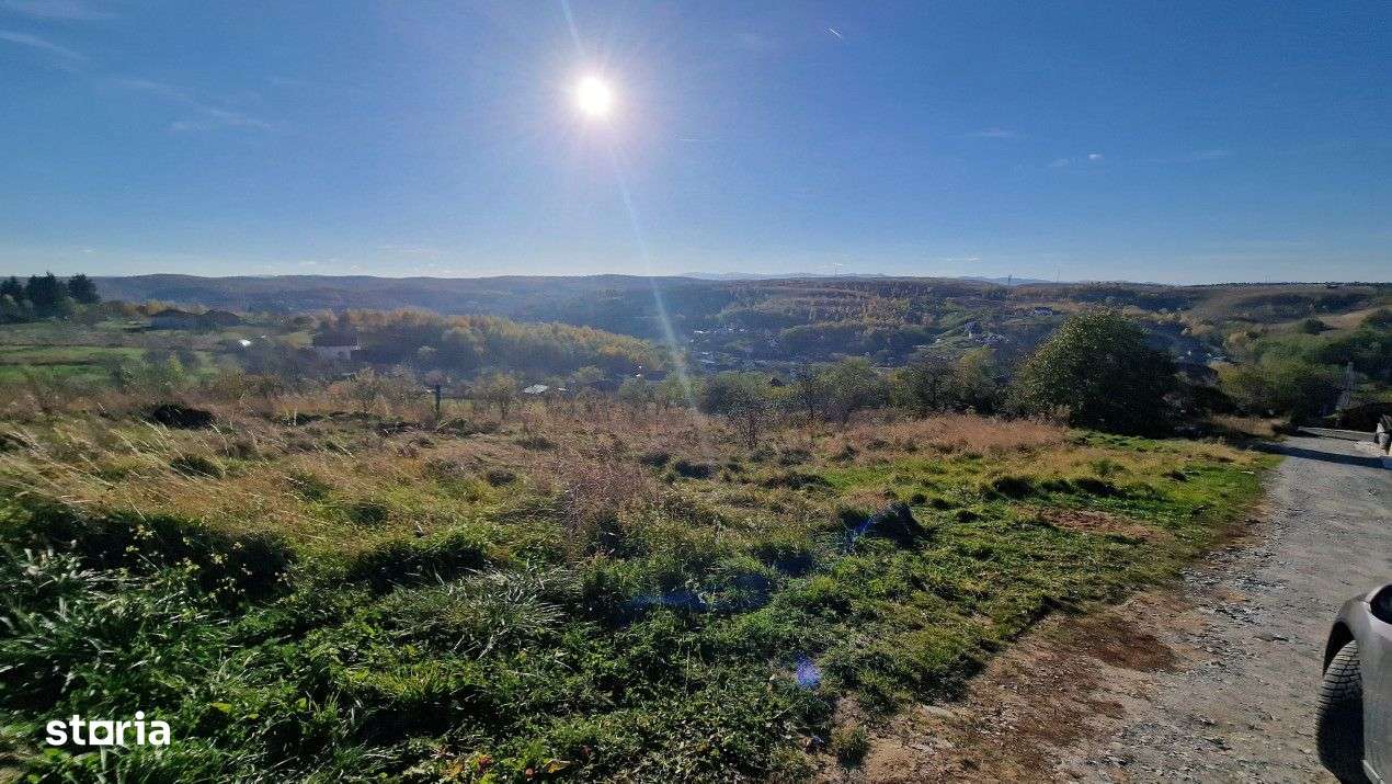 Teren Intravilan, pozitionat la strada principala, 10000mp, investitie - Imagine principală: 3/3