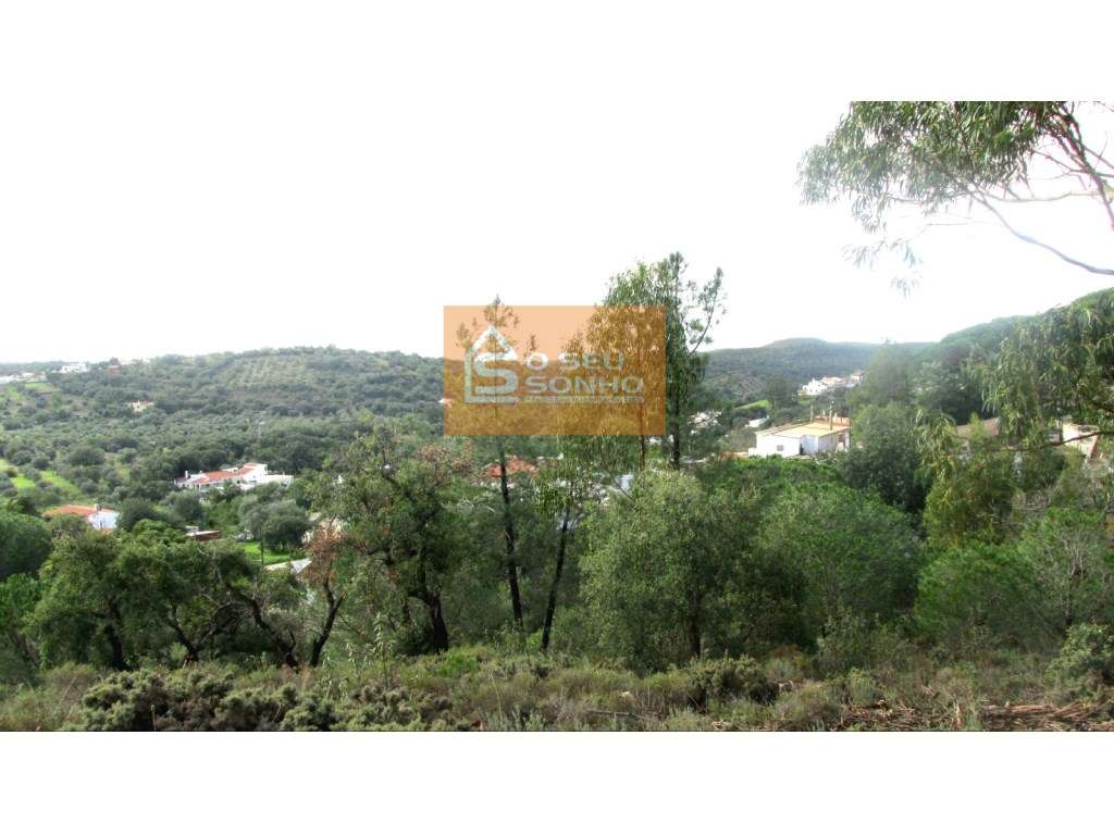 Grande Oportunidade de Negócio - Terreno para Construção em São Brá... - Grande imagem: 3/5