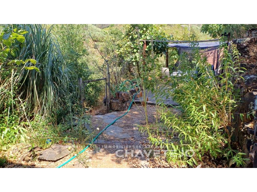 Encantador Turismo Rural em Figueiró dos Vinhos-10