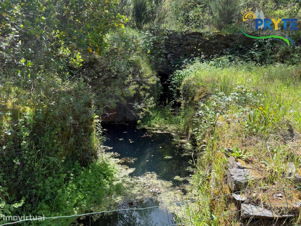 Terreno com uma ruína não registada a 6 quilómetros da Sertã-28