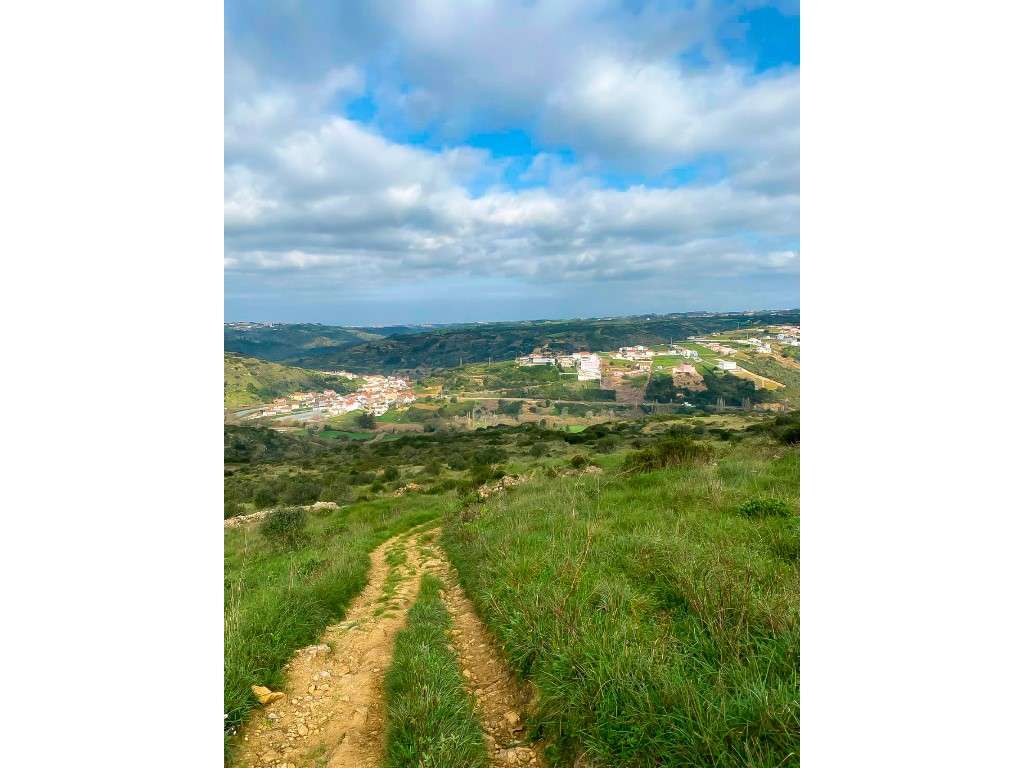 Terreno rústico na serra com vista panorâmica, Almorquim - Grande imagem: 2/12