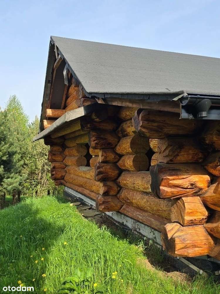 Nowy dom z bala 200m, od 30a-270a, las - Pełny obrazek: 5/10