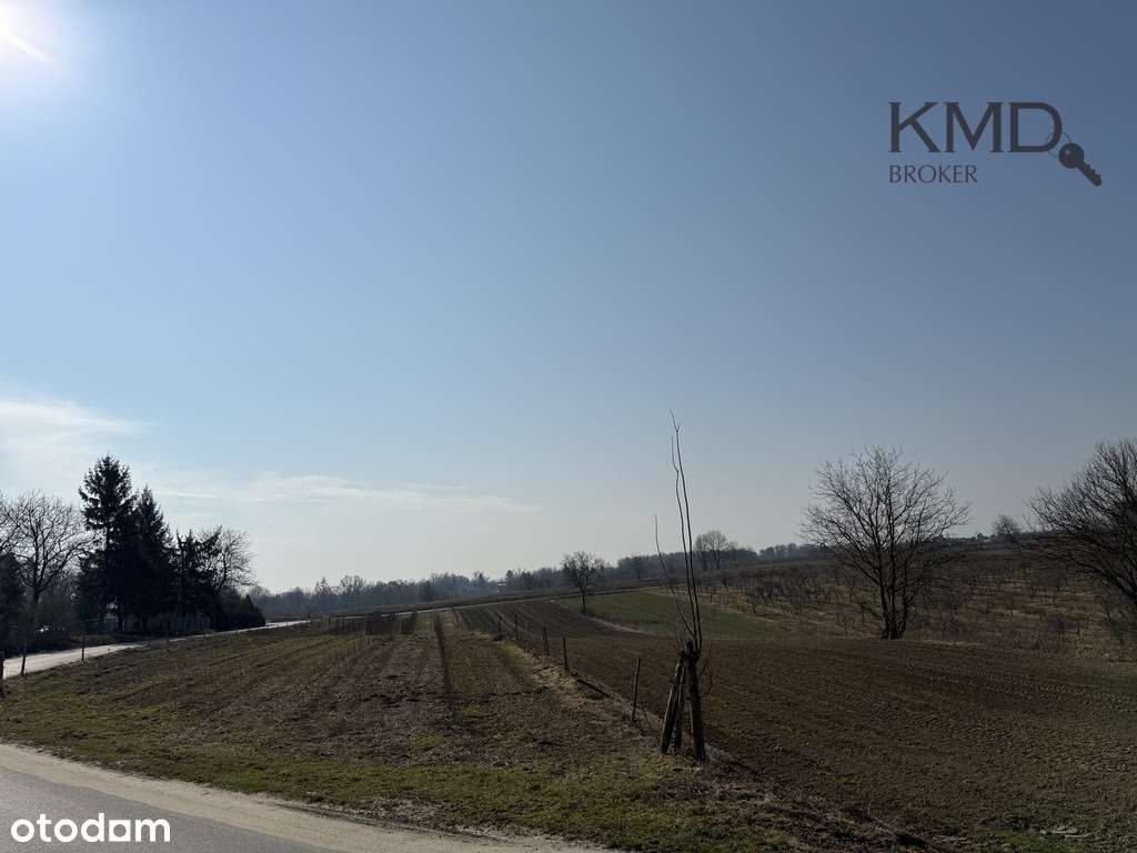 29/12040/OGS - Pełny obrazek: 4/6