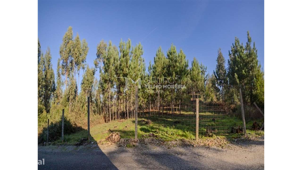 Terreno construção (Pisão) Pedroso - Grande imagem: 5/5