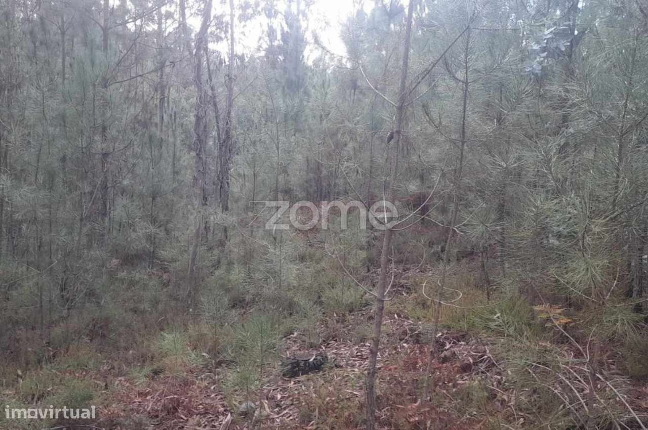 Terreno rústico para Venda - Grande imagem: 2/22