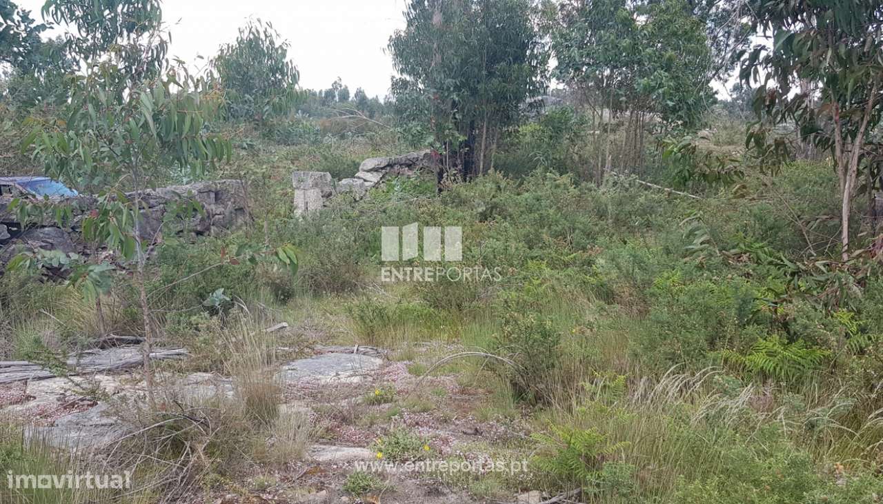 Venda Terreno, Sande, Marco de Canaveses - Grande imagem: 5/8