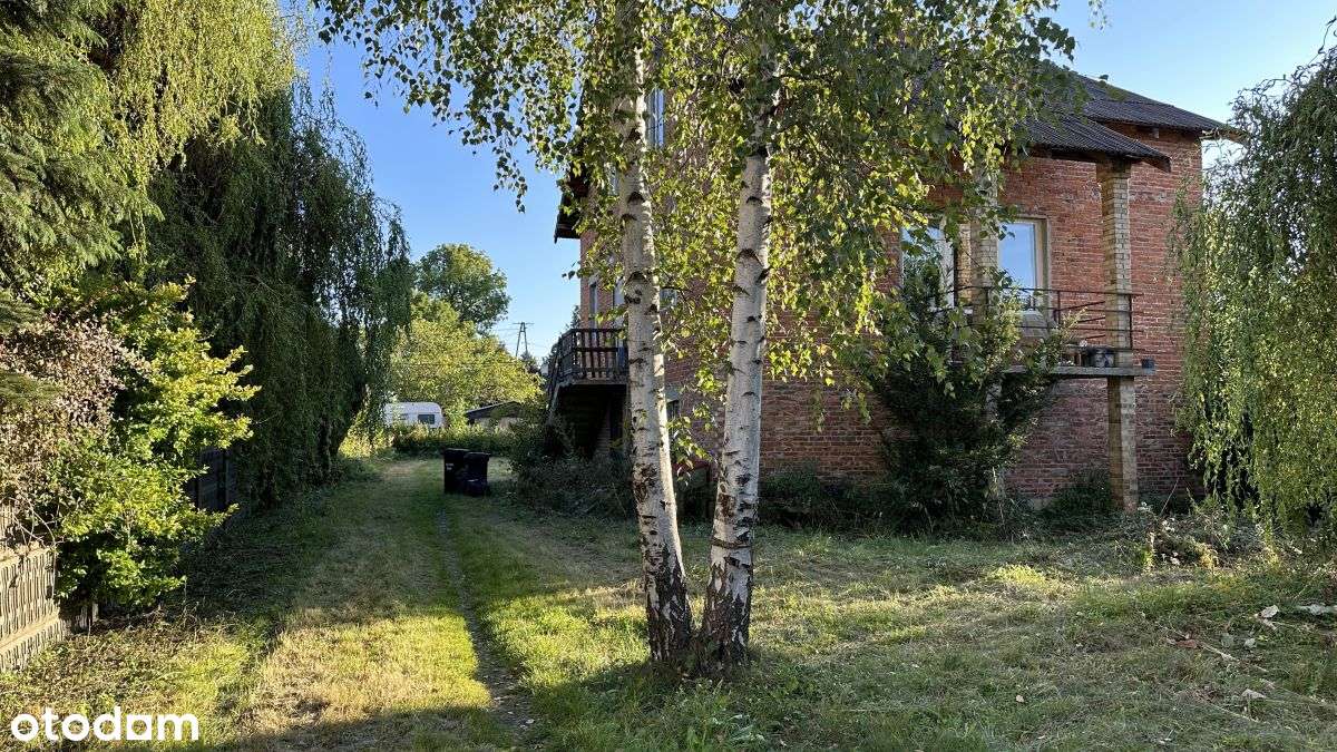 Działka idealna pod działalność Aleksandrów Łódzki-3