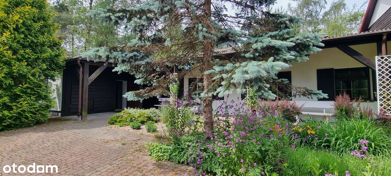 Teren na rezydencję, dom na wsi, blisko aglomeracji miejskiej.-15