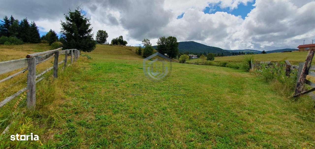 Teren 7000mp Arieseni - Imagine principală: 3/4