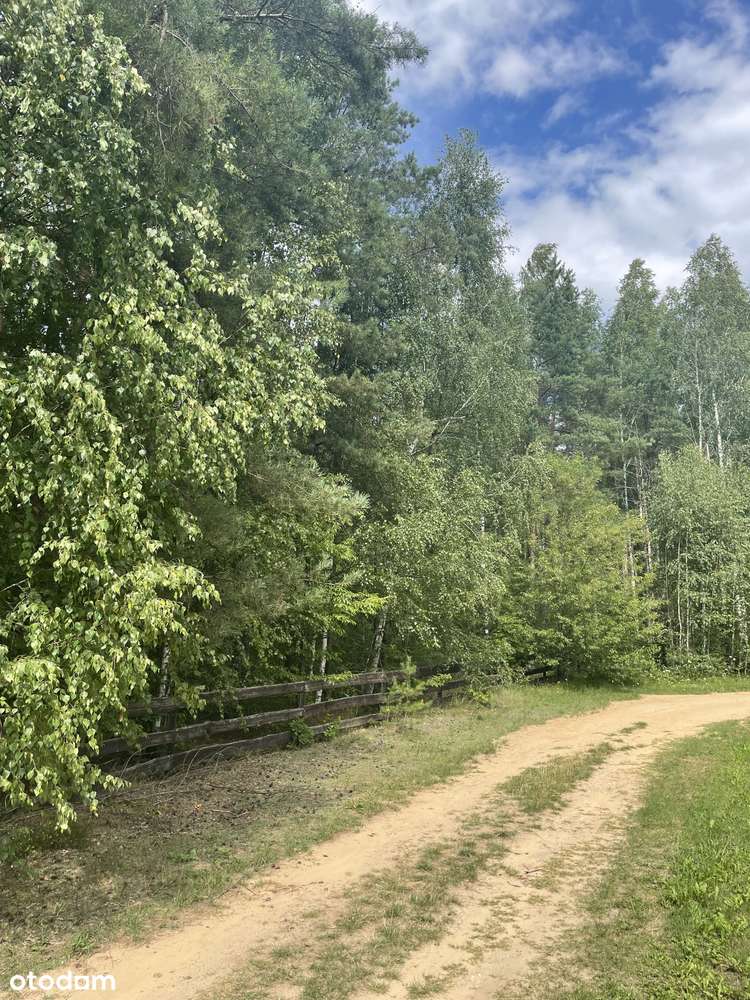 OSTATNIE DZIAŁKI PRZY KOŃCU ULICY, PROSTO PRZY LESIE! Bez pośredników - Pełny obrazek: 2/6