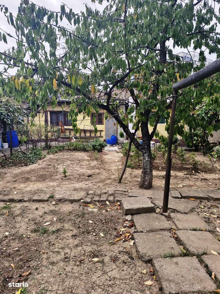 Colentina-Peisajului-4