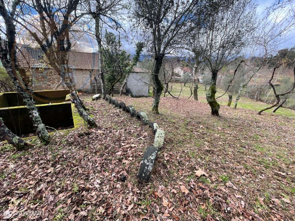 Moradia T4 em Chacim, Cabeceiras de Basto-38