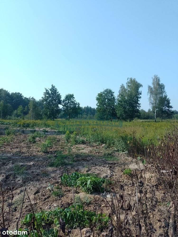 Działka, 800 m², Izabelin-Dziekanówek-5