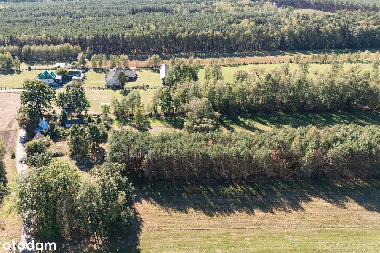 Działka z WZ gotowa na budowę | spokój, zieleń i własny kawałek lasu - Pełny obrazek: 4/9