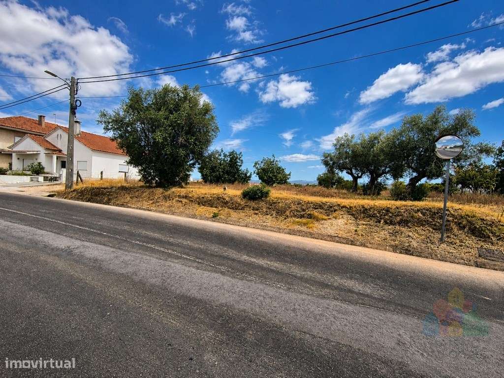 Terreno urbanizável a 5 minutos de Tomar-4