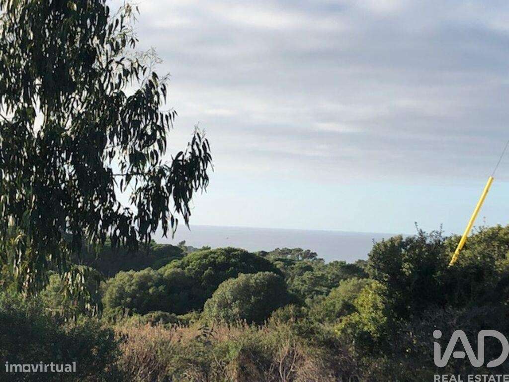 Terreno Agrícola em Sesimbra (Castelo) - Grande imagem: 5/18