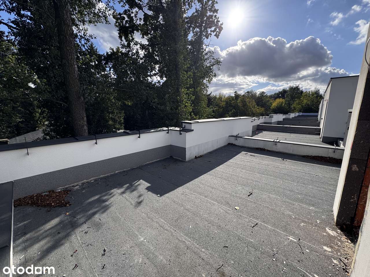 Osiedle Skrzetuskiego Etap II - narożny segmenty z dużym ogródkiem - Pełny obrazek: 4/12