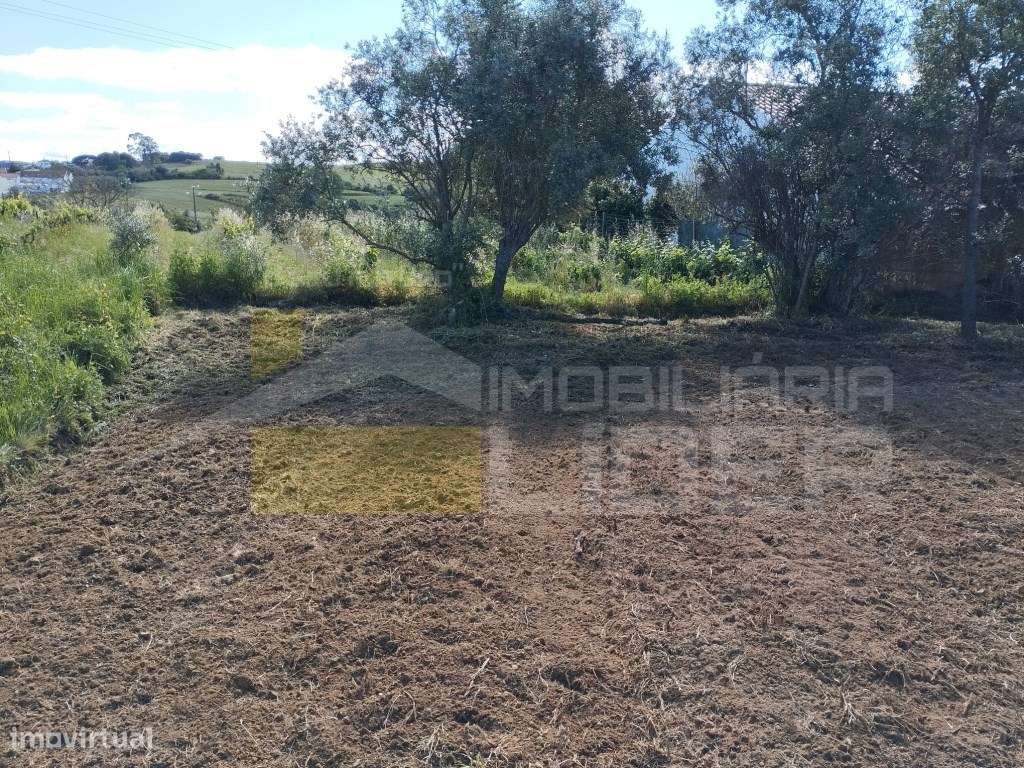 Terreno Rústico com 2.560m2 situado na Carvoeira e Carmões- Torres ... - Grande imagem: 5/7