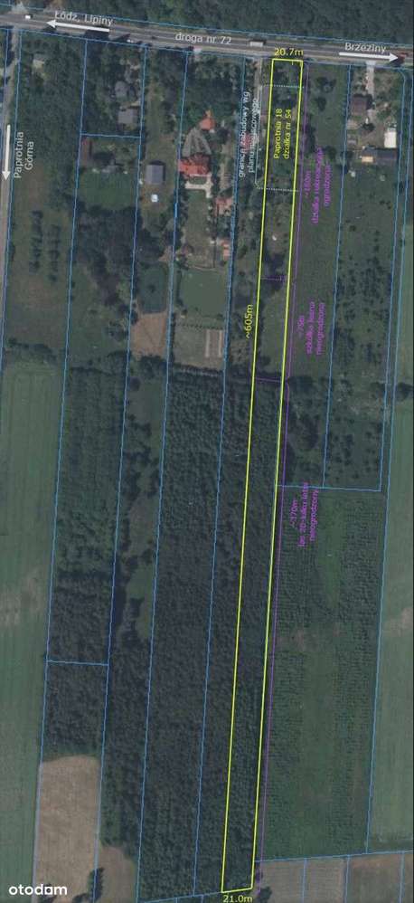Działka z własnym lasem - Pełny obrazek: 3/16