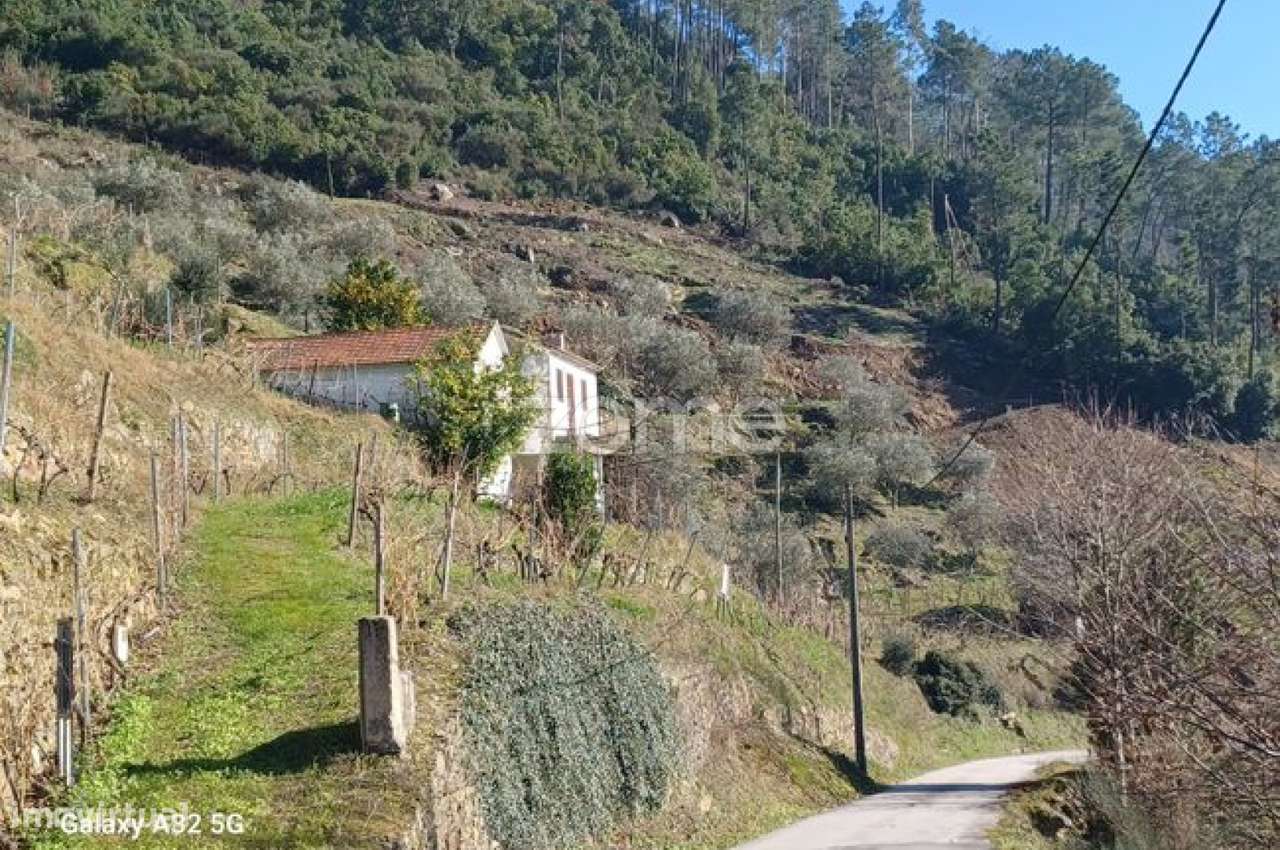 Quintinha com habitação e vinha no Douro - Grande imagem: 3/19