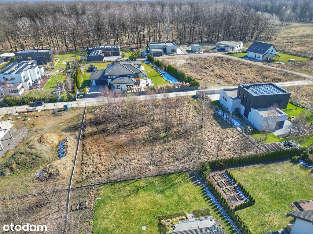 Willowa dzielnica przy lesie, media w drodze-4