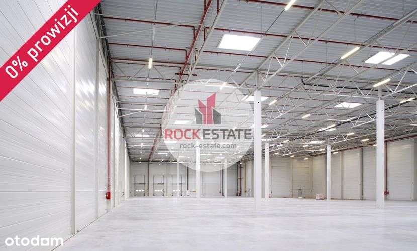 Magazyn 3 tyś. m2 od zaraz - 0% prowizji - Pełny obrazek: 4/5