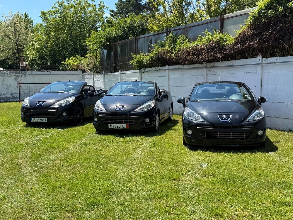 Peugeot 207 120 Premium 2011