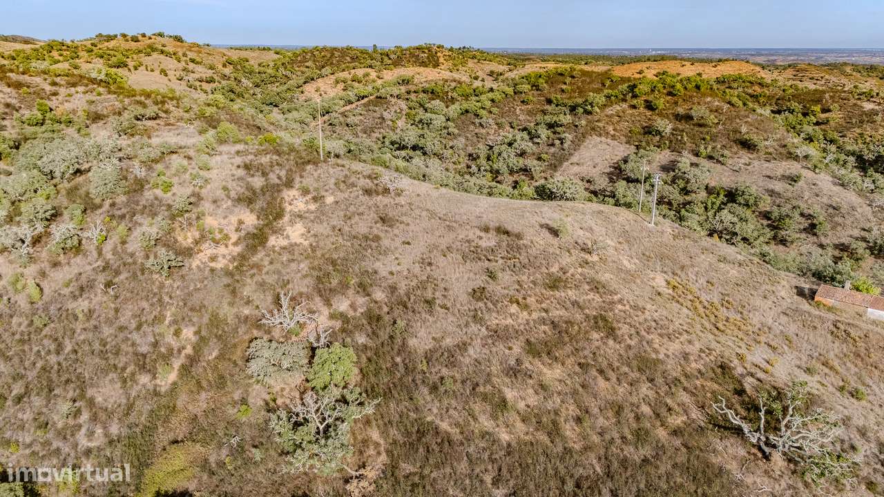 QUINTA | PARA VENDA | ALENTEJO | ODEMIRA-6
