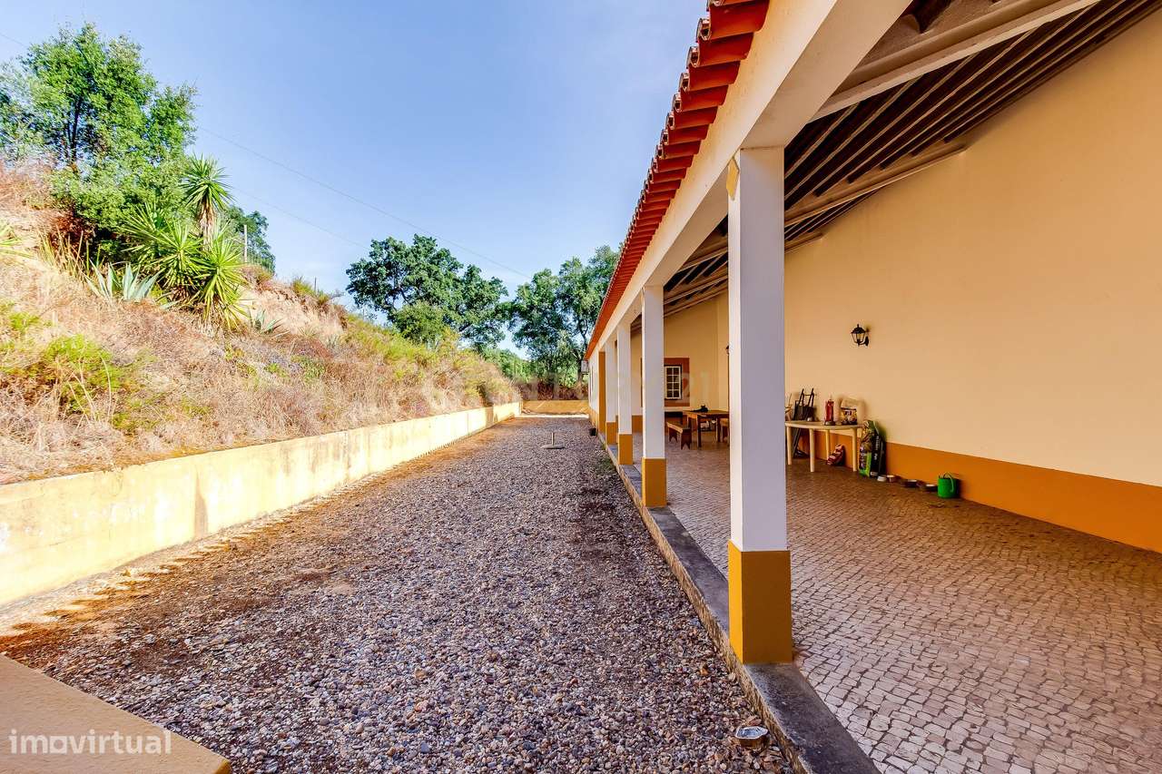 Quinta do Freguedo – Chamusca, Santarém - Grande imagem: 5/24