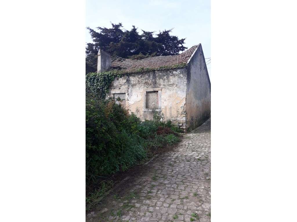 Moradia T2 Duplex com terreno, Belas-6