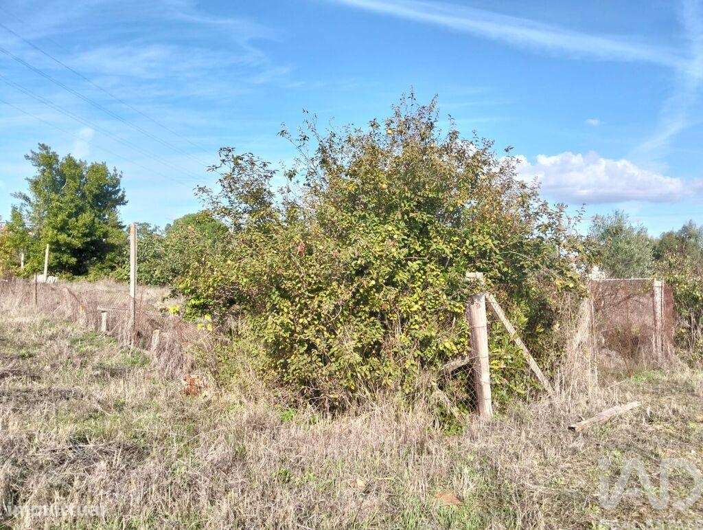 Casa de Campo T2 em Nossa Senhora de Fátima de 52 m2 - Grande imagem: 5/24