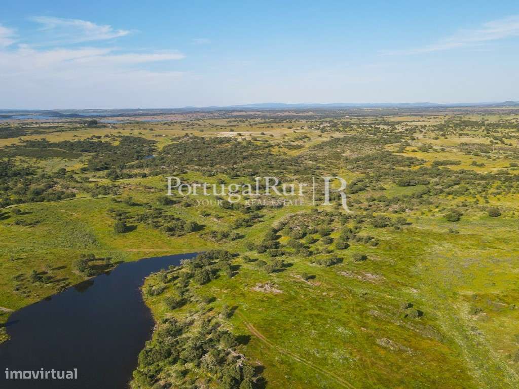 Herdade no Alqueva com 197ha e possibilidade de instalação de Empre... - Grande imagem: 5/32