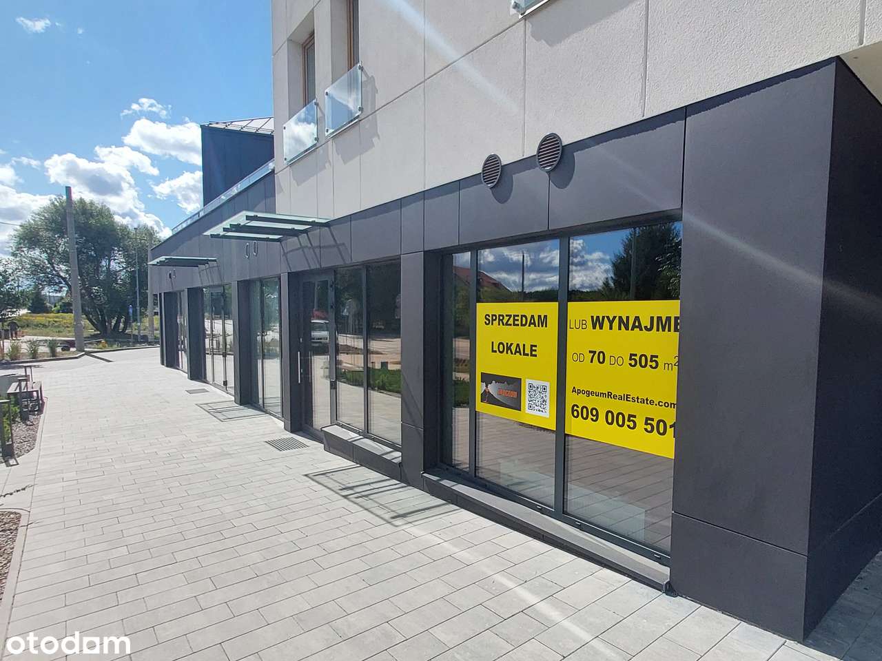 Lokal użytkowy na sprzedaż 145m² - Pełny obrazek: 5/9