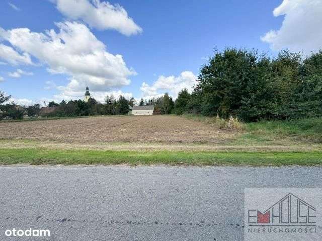 Kotowice-Działka-Las-blisko Wrocław/ Szewce-6