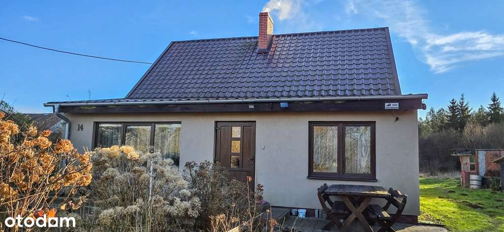 Dom w otoczeniu przyrody, Borki- działka 8497 m2-16