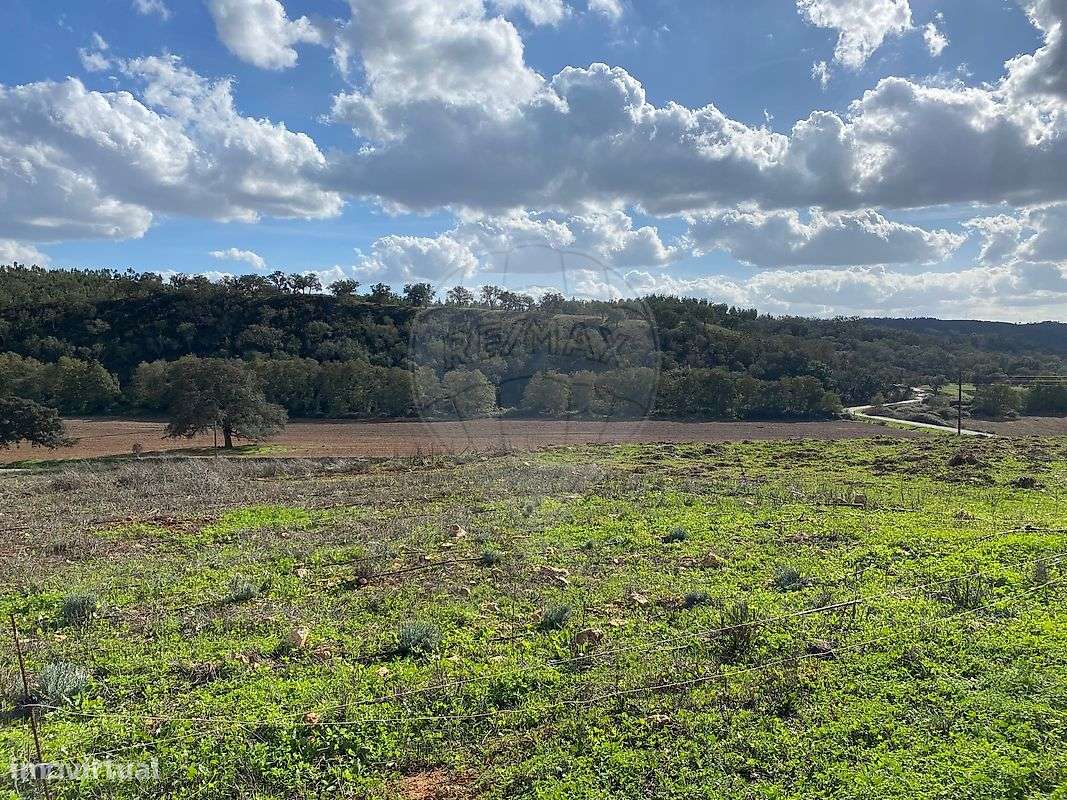 Herdade T2 para venda - Grande imagem: 3/12