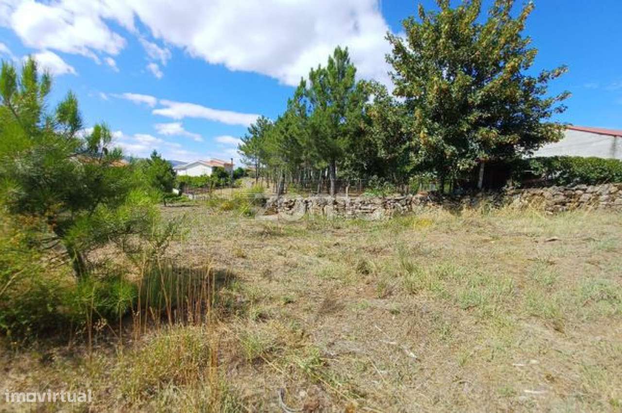 Terreno com 4800m2 área total, inserido no PDM-Lage Vila Real - Grande imagem: 3/12