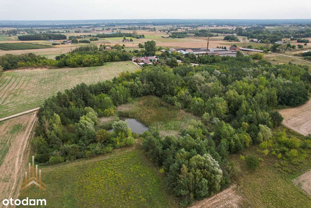 Teren inwestycyjny uzbrojony+budynki - pow. płocki-13