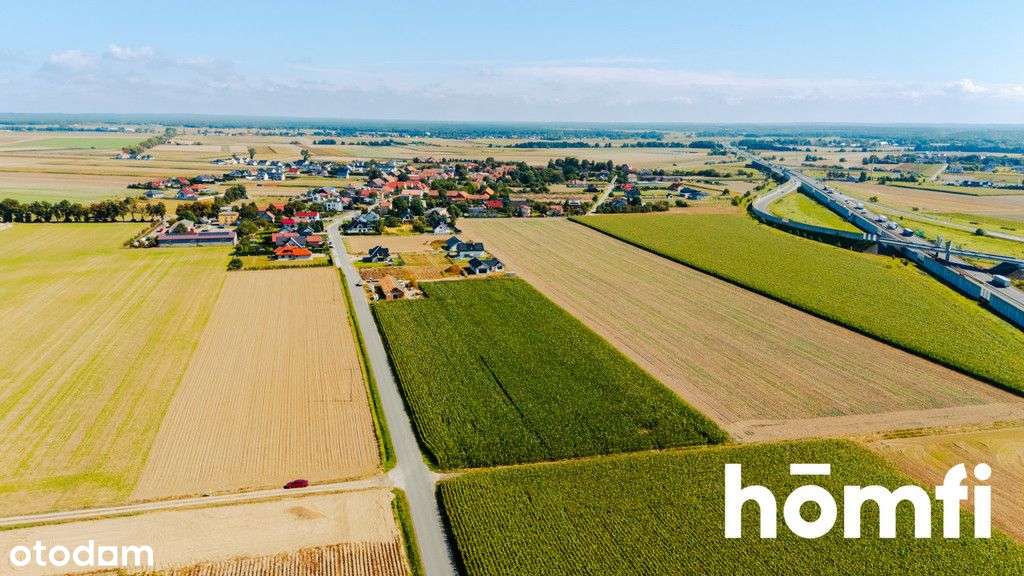 Dąbrowa k. Oleśnicy | 71 ar | Mpzp - Pełny obrazek: 4/20